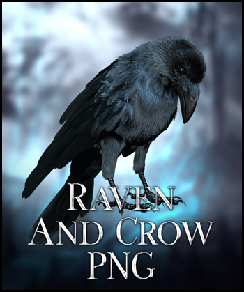 (image for) Raven And Crow PNG