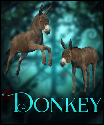 (image for) Donkey PNG - Click Image to Close