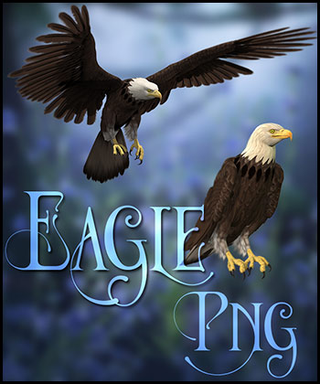 (image for) Eagle Png - Click Image to Close