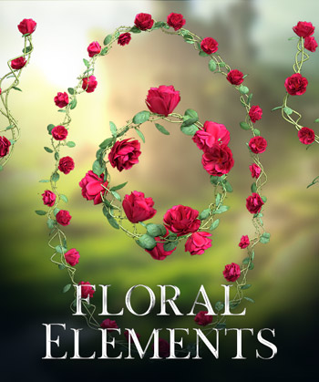 (image for) Floral Elements PNG - Click Image to Close