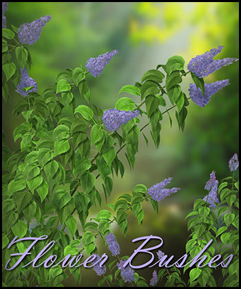 (image for) Flower Bushes 2 - Click Image to Close