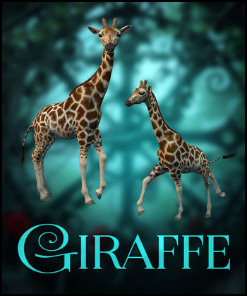 (image for) Giraffe PNG - Click Image to Close