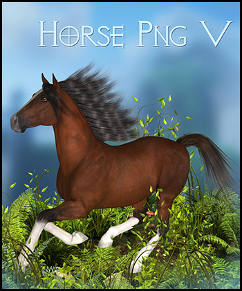 (image for) Horse 5 PNG - Click Image to Close