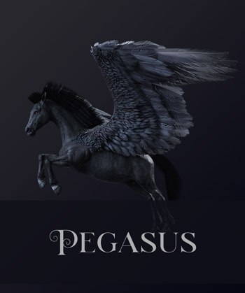 (image for) Pegasus Black PNG - Click Image to Close