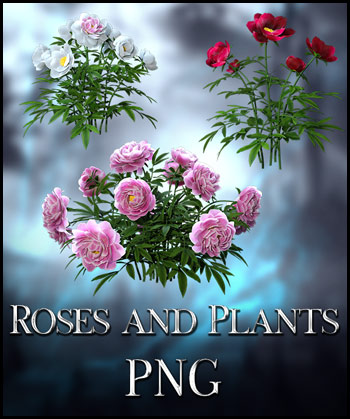 (image for) Roses & Plants PNG