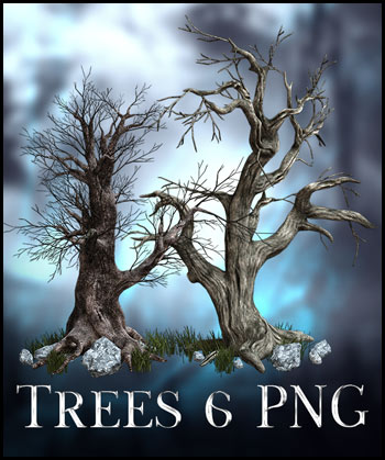 (image for) Trees 7 PNG
