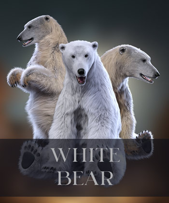 (image for) White Bear PNG - Click Image to Close