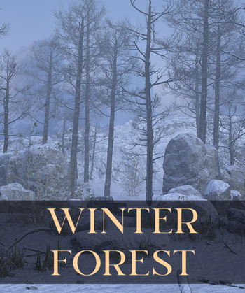 (image for) Winter Forest Scenes PNG