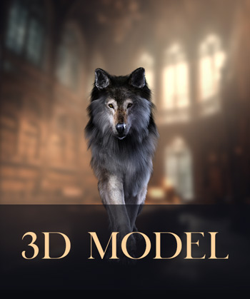 (image for) Grey Wolf 3 PNG