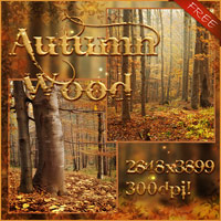 (image for) Autumn Backgrounds Free - Click Image to Close
