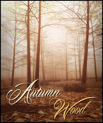 (image for) Autumn Wood...
