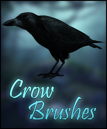 (image for) Crow Brushes