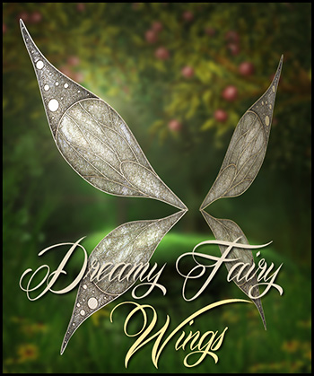 (image for) Dreamy fairy wings
