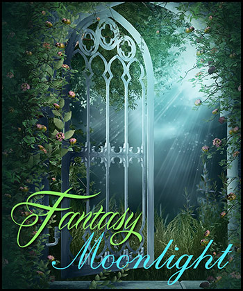 (image for) Fantasy Moonlight - Click Image to Close