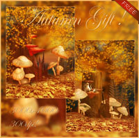 (image for) Autumn Gift