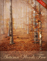 (image for) Autumn Wood