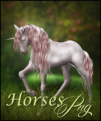 (image for) Horses PNG