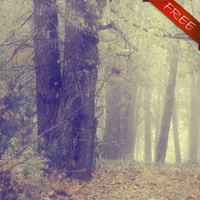 (image for) Misty Wood 3 Freebie - Click Image to Close