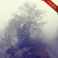 (image for) Misty Wood 2 Freebie - Click Image to Close