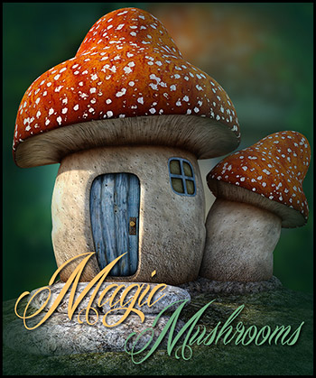 (image for) Magic Mushrooms PNG - Click Image to Close