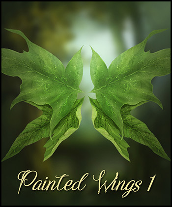(image for) Painted Wings Vol.1