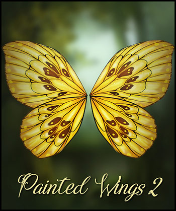 (image for) Painted Wings Vol.2 - Click Image to Close