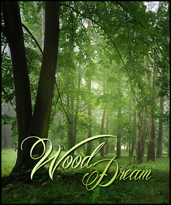 (image for) Wood Dream